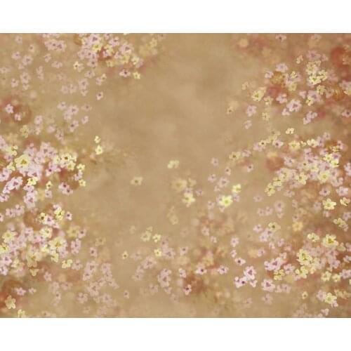 Customized size 2020 newborn photo backgrounds vinyl marriage photography backdrops for photo studio props Photophone NB-053