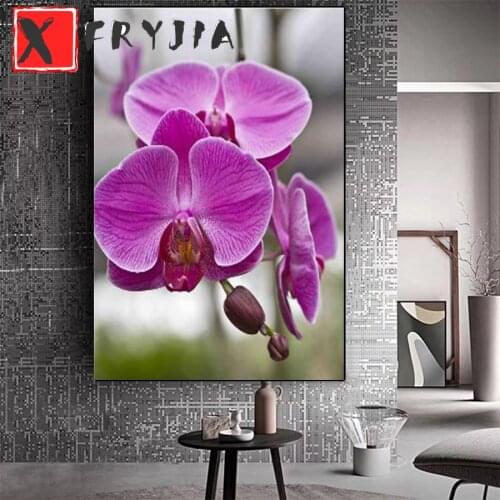 Diamond painting Phalaenopsis painting 5d diy diamond mazayka embroidery crystal 3d mosaic full square round diamond home decor