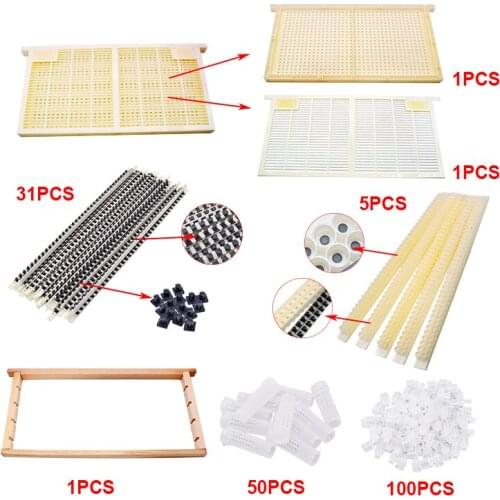 No Graft Queen Rearing Kit Complete CQR-3C Queen Rearing System for Queen Rearing and Royal Jelly Producing Queen Rearing Kit