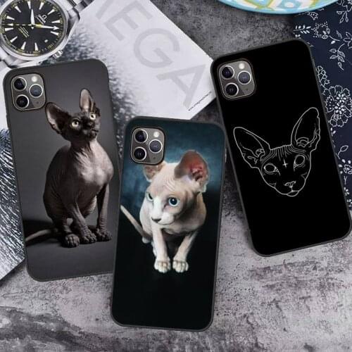 Sphynx Cat funny cool Phone Case for iPhone 7 8 11 12 Pro X XS XR Samsung A S 6 7 9 10 51 70 mobile bags