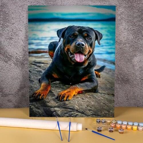 Animal Dog Rottweiler DIY Paint By Numbers Package Oil Paints 50*70 Canvas Pictures Paintings Adults Wholesale Drawing