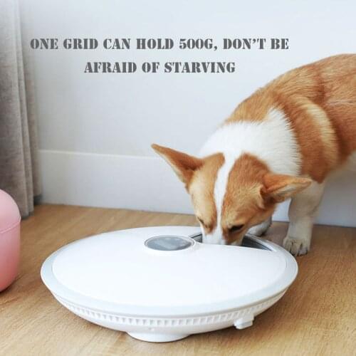 HOT Pet Intelligent Automatic Feeder Cats Timing and Quantitative Smart Dog Water Bottle Pet Bowl Food Container Feeder Supplies