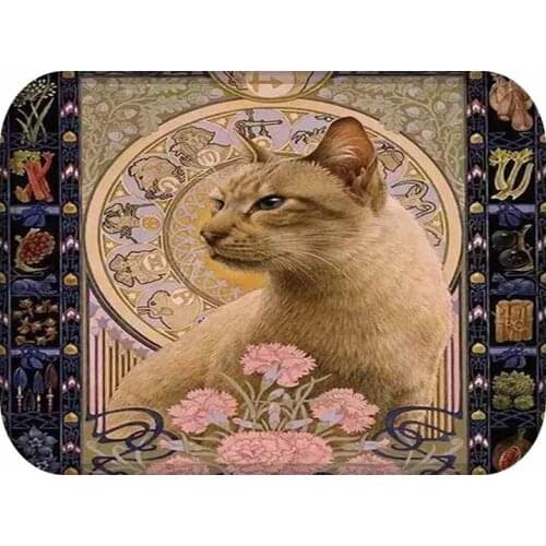 40x60cm Cute Diy Print Floor Mat Bathroom Ground Mat Slip Door Bath Pad Rug Living Room Carpet Animal Cat