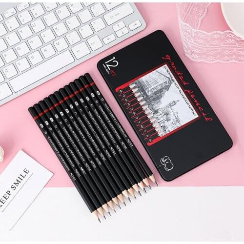 12pcs 2H-8B Wooden Sketch Lead Pencils Smooth Use Professional Drawing Journal Writing Pencils with Metal Storage Box