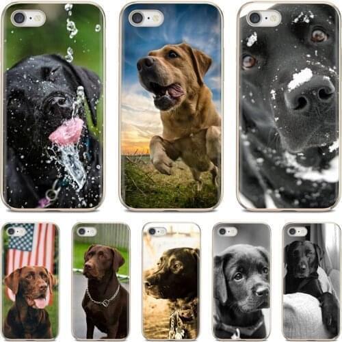 For Samsung Galaxy A10 A30 A40 A50 A60 A70 a12 a31 a41 a51 a71 a20e a21s M30 The Labrador Retriever dogs Silicone Cover