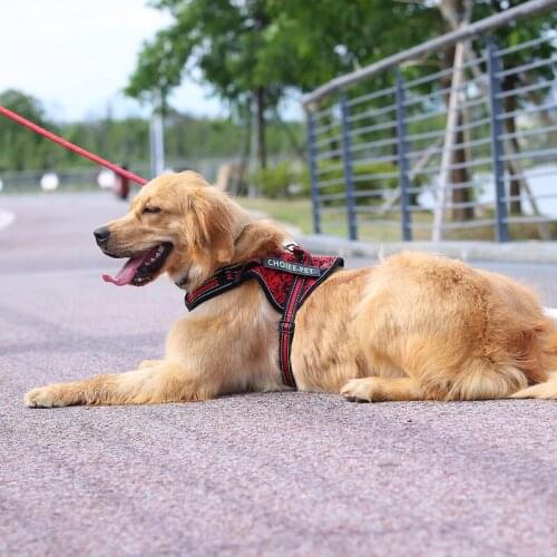 Personalized Dog Harness Reflective Adjustable Dog Harness Vest For Small Large Dog With Customized Patch Dogs Training Supplies