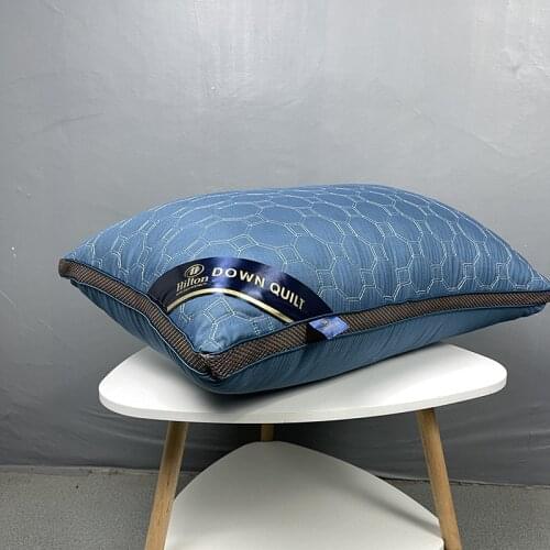 2021 new Hilton 5 star hotel pillow three dimensional double line quilted embroidery pillow core cervical pillow