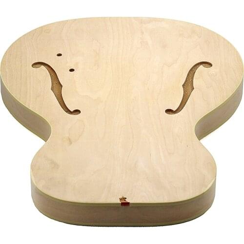 Best 1966 century Casino jazz guitar with a maple plywood back side panels