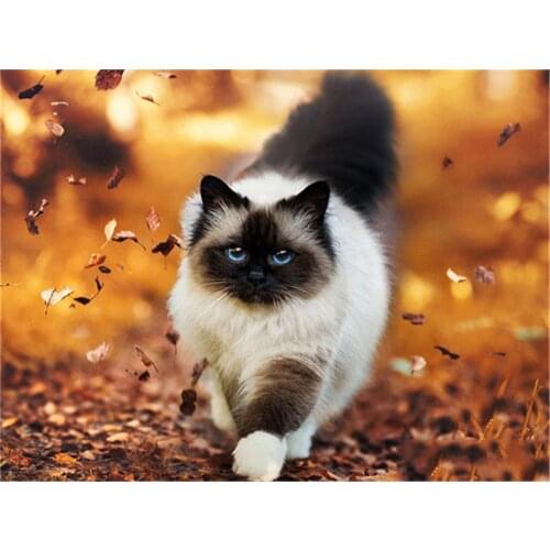 Animal Cat DIY Cross Stitch Embroidery 11CT Kits Needlework Craft Set Printed Canvas Cotton Thread Home Decoration For Sell