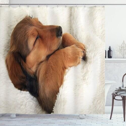 Dachshund Shower Curtain Set Photo of Puppy Sleeping in Fur Curtain for Bathroom Decor 12 Hooks Decorative Bath Accessory