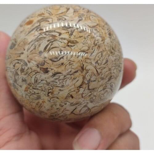 DINOSAUR BONE SPHERE DINO NATURAL FOSSIL AGATE DECORATIVE BALL EGG