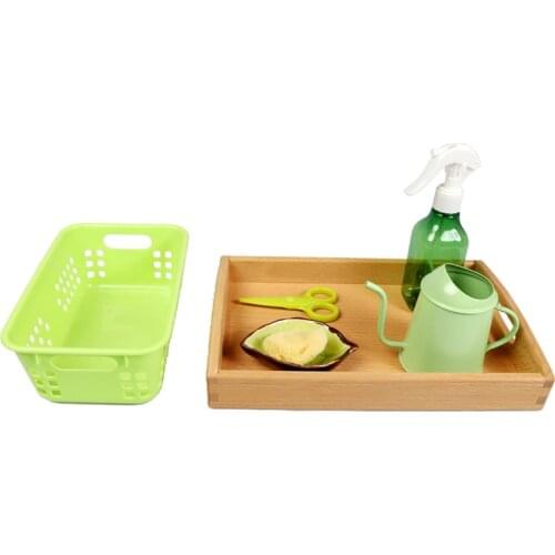 Montessori Practical Materials Early Educational Equipment 1.5-6 years Infant Toys Cleaning and Watering Plants Play House Gift