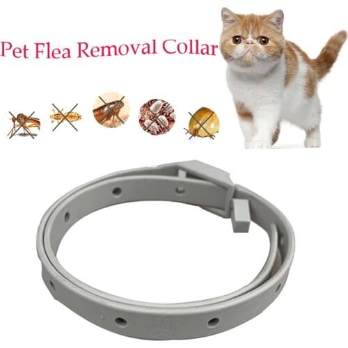 Dog Cat Collar Fleas Protective Collar for Cats Kitten Anti Flea Ticks Removal Adjustable Necklace Collar Mascota Collier Chat