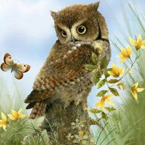 Animal Diamond Embroidery Owl pattern Full Square/Round 5D Diamond Painting butterfly Diamond Mosaic Decor Painting gift GH176