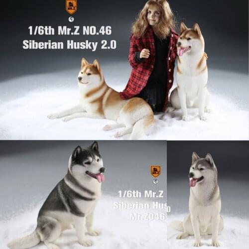 Mr.Z No.046 Siberian Husky DOG Model Toy 1/6 Scale Simulation Animal Dog Model Toy Doll F 12" Action Figure Scene Car Decoration