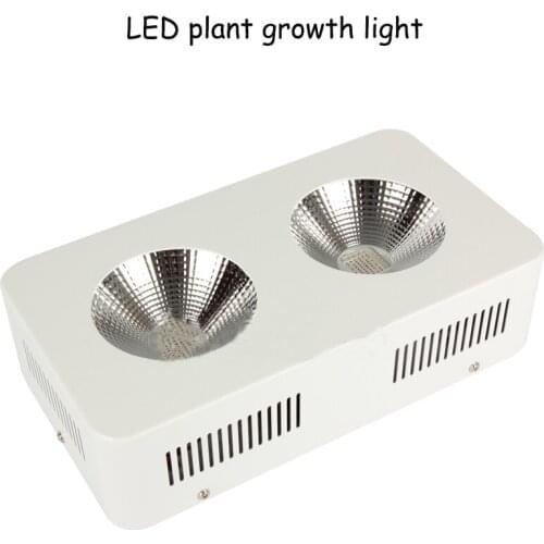 YunlinLi LED Plant Lamps