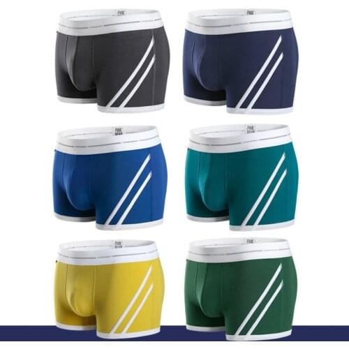 Peonfly Men's Briefs