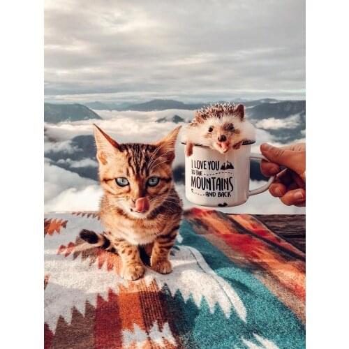 Diamond Painting Clouds Cat Animal Square Diamond Round Diamond Decoration Customizable Wall Art Decoration Frameless Style