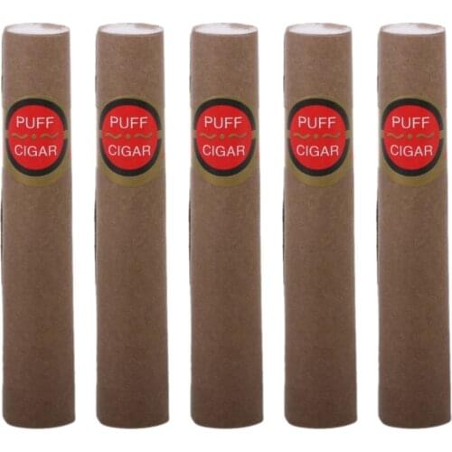 5 Pcs Fake Cigar Prop figet toys Party Favor Kids Toy Cosplay Photo Props Costume Accessory Boss Cigar Joke Gag Toys For Adults