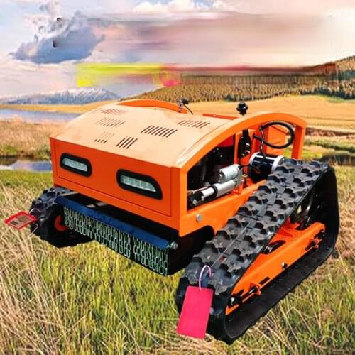TT Small Household Remote Control Mower Gasoline Engine Orchard Crushed Grass Weeding Golf Lawn Pruning Machine