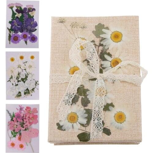 3 Bags Mix Natural Pressed Dried Flowers Leaves DIY Arts and Crafts for Craft Scarpbooking Home Decor Jewelry Making 2-3.5cm