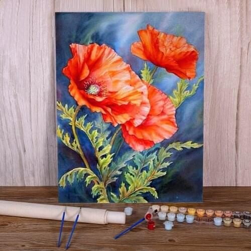 Poppy Flowers Coloring By Numbers Painting Package Acrylic Paints 50*70 Canvas Pictures Handmade For Kids Handicraft
