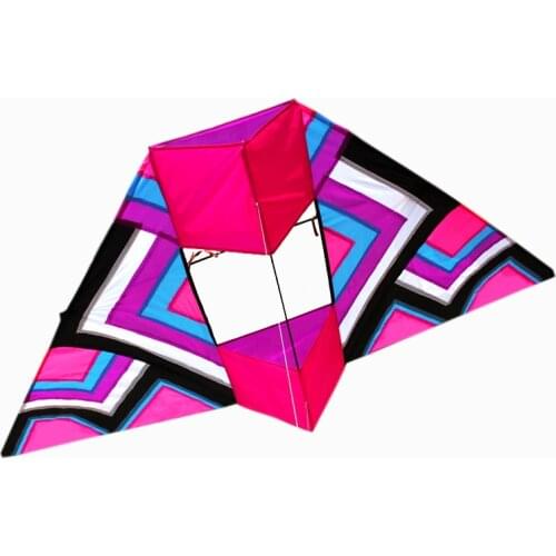 Professional Kite Outdoor Fun Sports 2.4m 3D Power Kite With Handle and Line Good Flying