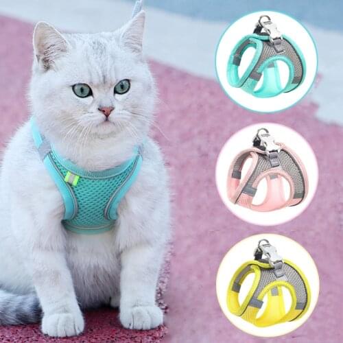 Mesh Cat Harness Leash Set Adjustable Light Puppy Kitten Harness Vest Chihuahua Outdoor Walking Lead Leash Cat Accessories Chats
