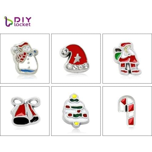 10pcs/lot Wholesale Floating Charms Fit Floating Glass Lockets LSFC064- 619