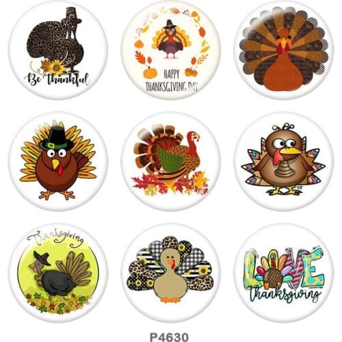 Thanksgiving Turkey 12mm/18mm/20mm/25mm/30mm Round glass cabochon flat back Making findings snap button jewelry P4630