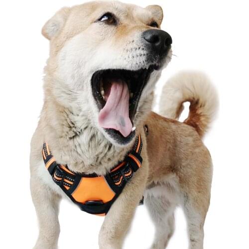 QOWA Luxury Harness Dog Neck Leash Set Safe Reflective Adjustable Vehicular Leads Small Medium Large Dogs Or Cat Leash Vest