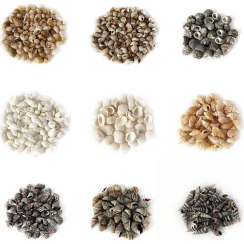 Natural Aquarium decoration Home Decor Natural Sea Beach Shell Conch Seashells For DIY Crafts sea star