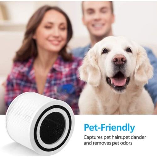 Replacement HEPA Filter Fits for LEVOIT Core 300 Core 300-RF