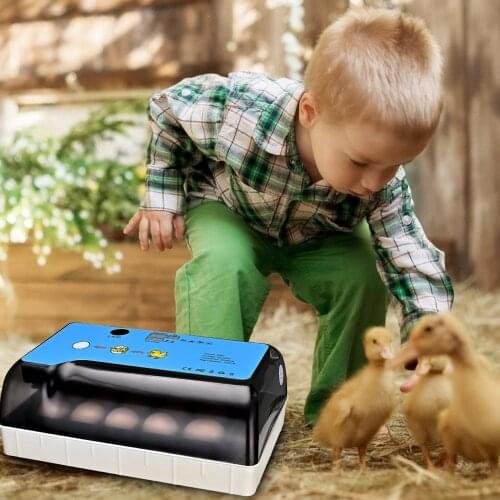 12 Eggs Incubator Digital Automatic Poultry Incubator With Temperature Control Brooder Automatic Hatch Eggs Of Chicken Quail New
