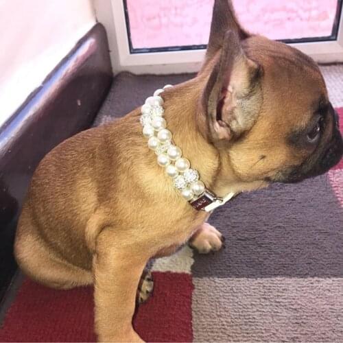 Hot Sale Fashion Dog Collar Artificial Pearls Studded Collar Pet Collars Adjustable Leather Collar For Small Dog