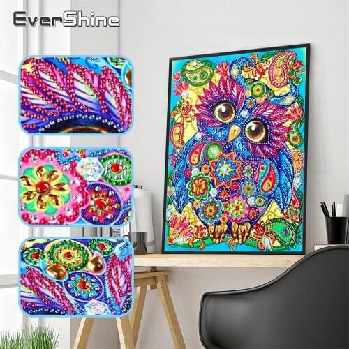 EverShine Special Shape Diamond Painting Cartoon Owl Diamond Embroidery Animal Rhinestones Pictures Mosaic Partial Diamonds Art