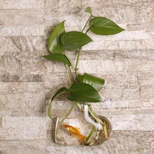 Wall Hanging Plant Flower Vase Terrarium Container Irregular Planter -Clear