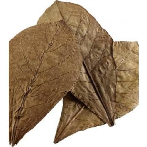 BIO AQUATIC Supplements And Vitamins For Animals