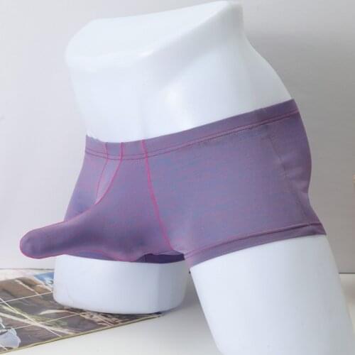 Male Panties Sexy Underwear Men Cuecas Boxer New Fashion Boxer Shorts Mens Breathable Nylon Sexy Panties Boxershorts 418