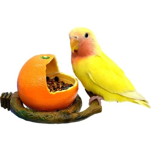 Bird Parrot feeding box orange/banana shape anti-spatter plastic feeder trough bird supplies bird cage food cup Durable