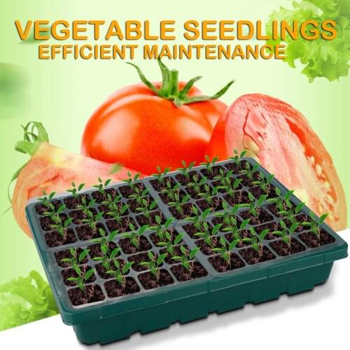 Seedling Box Flower Pot Plant Grow Transparent Thermal Insulation 3pcs Green 38*28*16cm Nursery Gardening Supplies PP 48 Holes