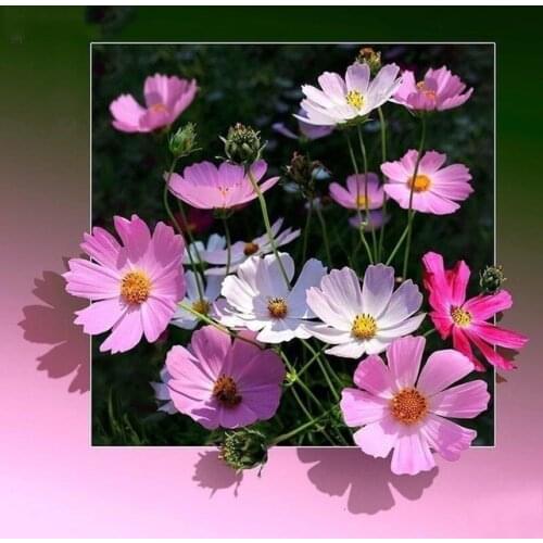 Evershine Diamond Painting Flowers Full Square Drill 5D DIY Embroidery Rhinestone Mosaic Full Layout Home Decoration