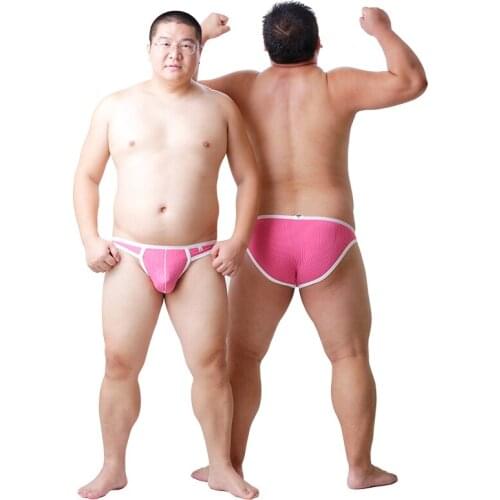 2017 New Arrival Bear Claw Paw Underwear Plus Size Mens Sexy Briefs Gay Proud Shorts Designed For Gay Bear 5 Colors M L XL XXL