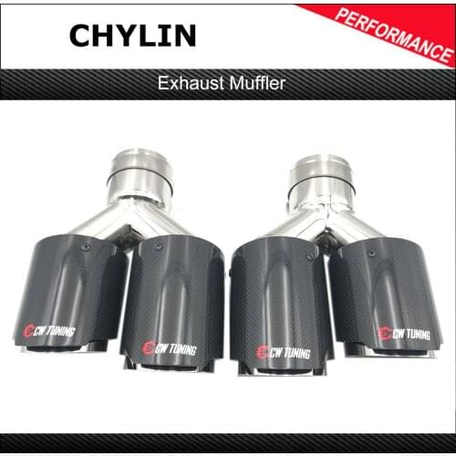 2PCS Universal Dual Glossy Carbon Fiber Exhaust Tip 304 Stainless Steel Exhaust Pipe Straight Flange Muffler Tip For Ak