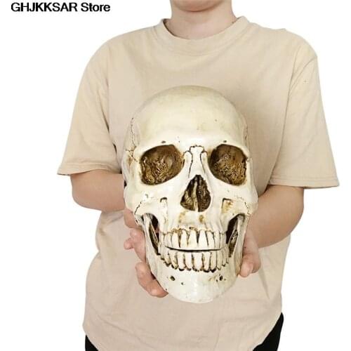 1PC Resin Halloween Home Decoration 1:1 Decorative Craft Skull Human Head Resin Replica Lifesize