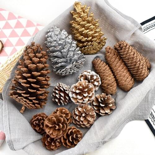 2021 Natural Dried Plants Pine Cone Acorn Wholesale Artificial Flower For Home Christmas DIY Garland Wreath Wedding Decoration