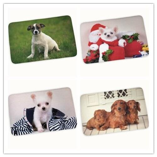 Cute dogs pets mat quality printed hallway floor mat entrance kitchen bedroom anti-slip carpet 40x60cm