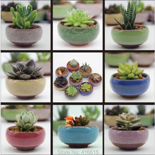 8Pcs/Lot Microlandschaft Mini Succulent Plants Flowers Vase Flowerpot Terrarium Container Mini Bonsai Pots Ceramic Accessories