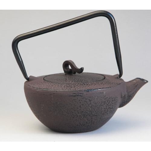 Cast Iron Tea Pot Set Japanese Teapot Tetsubin Kettle Drinkware KungFu Tools Stainless Steel Strainer Tea Kettle 450ml