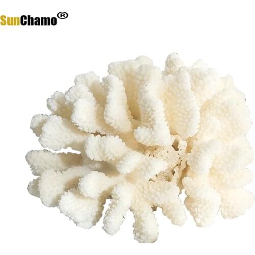 White Coral Shell Conch Coral Flower Aquarium Decoration Window Sea Snail Figurines Miniatures Mediterranean Ornaments Specimens